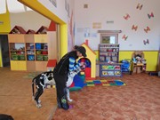 Bezpečný pes - kynologie